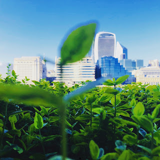 The Benefits of Green Finance