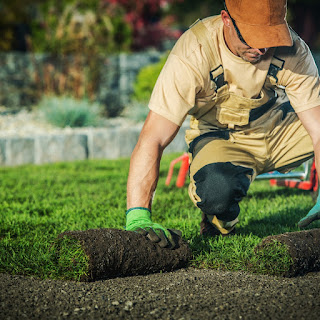 Green Jobs: Opportunities and Challenges in the Green Economy